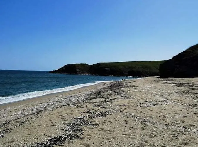 Vip * 阿赫托波尔